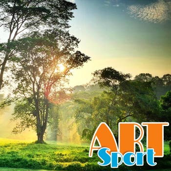 Herrliche Natur