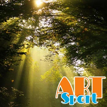 Wandern im Wald
